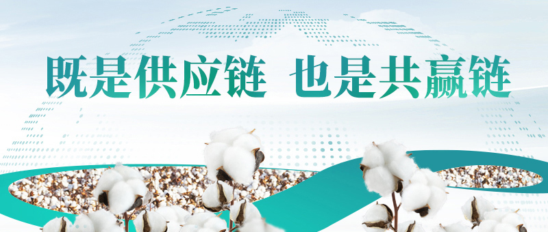 棉花的供应链，，，，，尊龙凯时共赢链