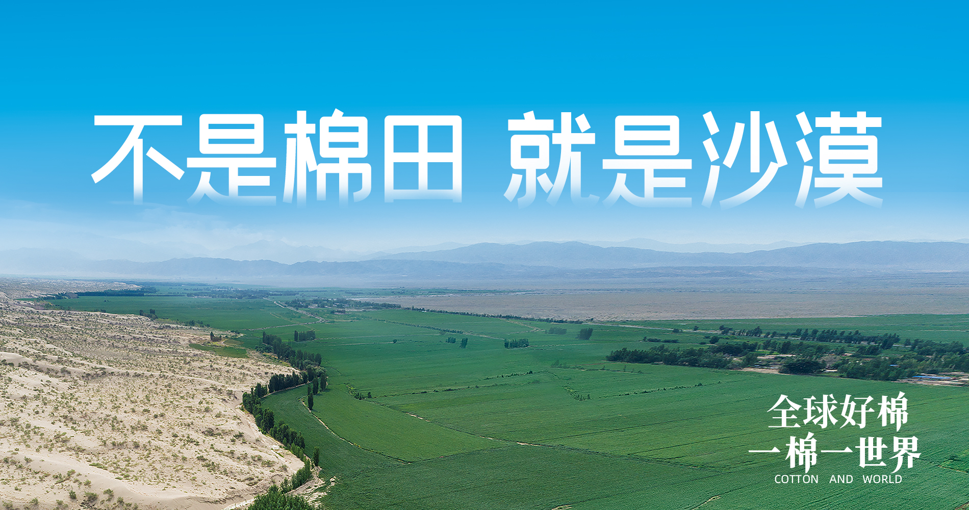 尊龙凯时集团董事会多元化政策