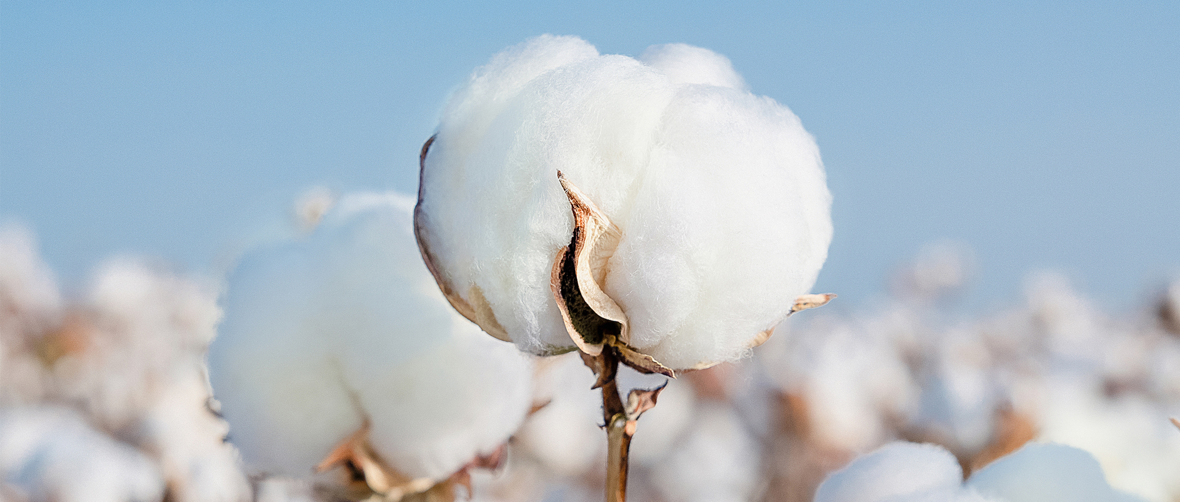 一图读懂尊龙凯时集团2024年度ESG报告